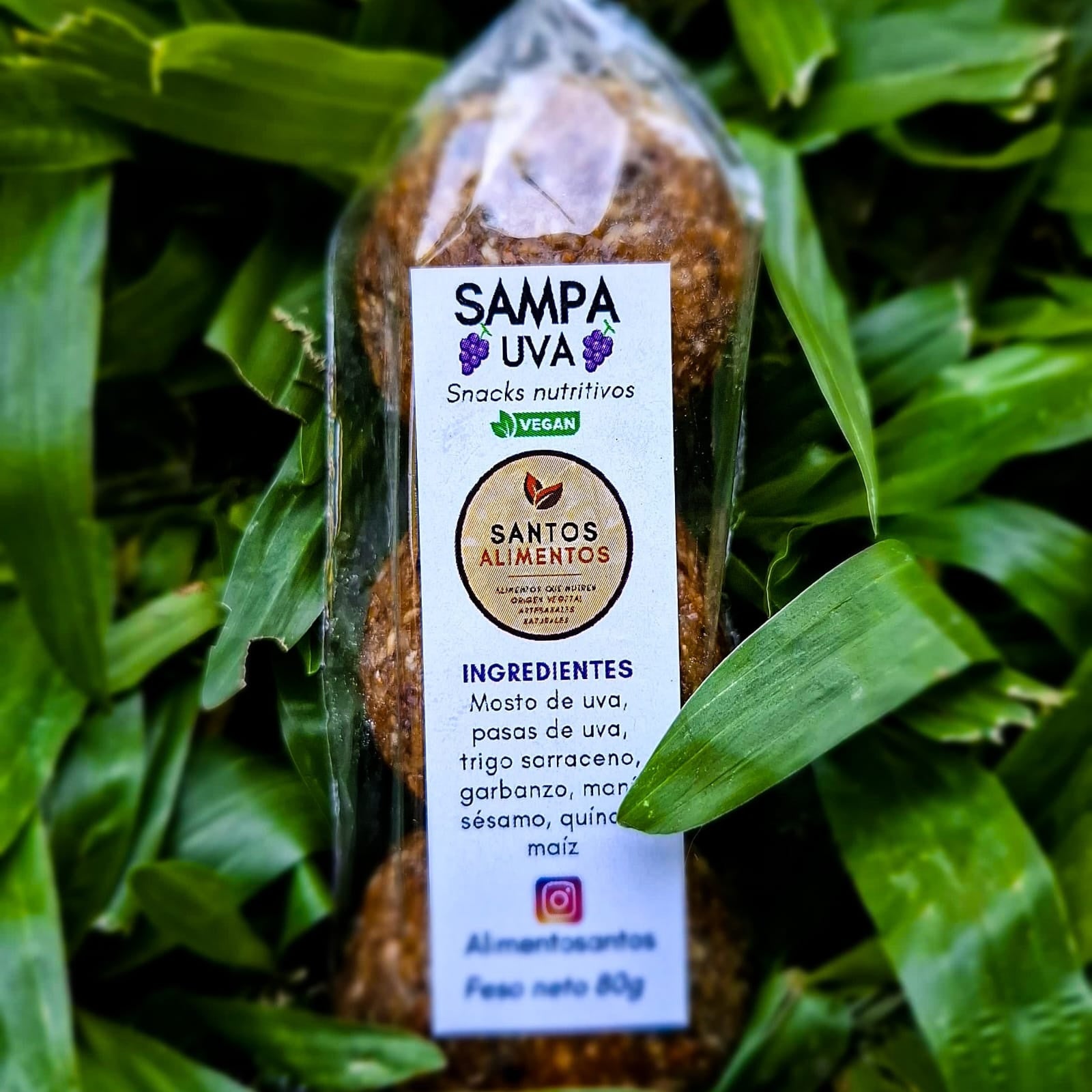 Snack Nutritivo Sampas